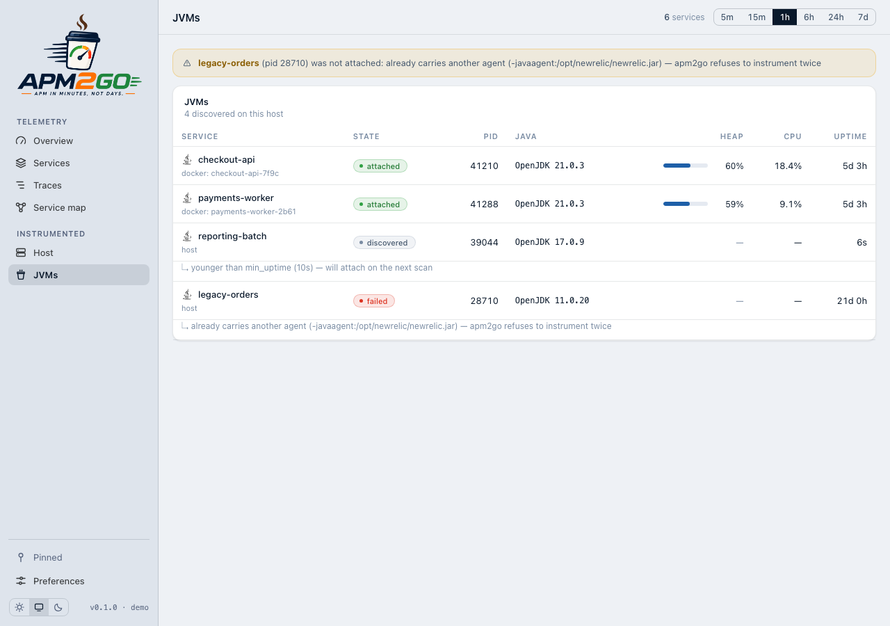 apm2go JVMs screen listing four discovered processes